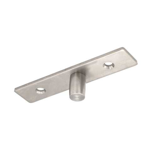 FHC Top Pivot Center-Hung Free Swing
